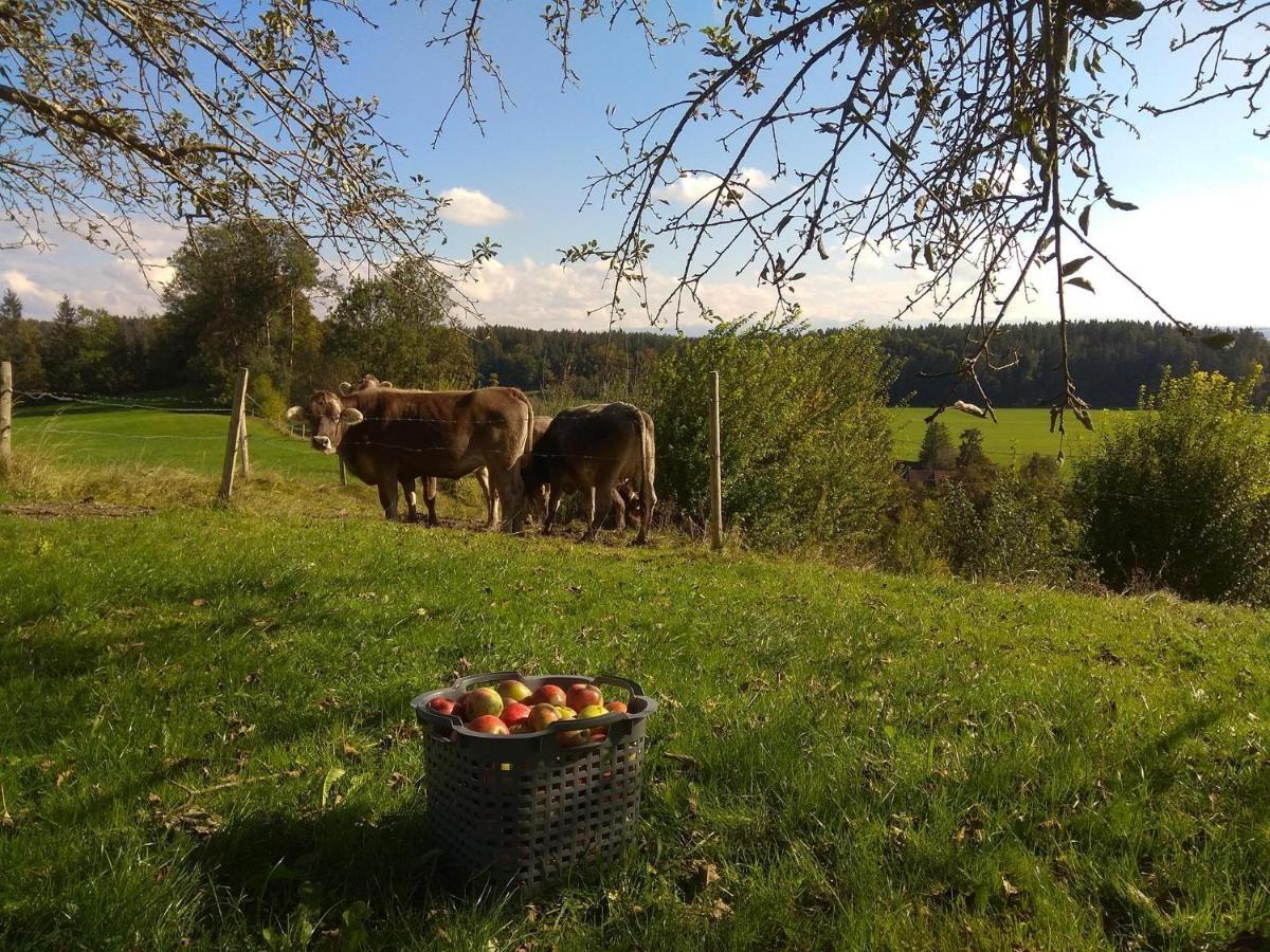 Ferienwohnung Trifts | Einzelbetten | Parkplatz Wangen im Allgäu Eksteriør billede