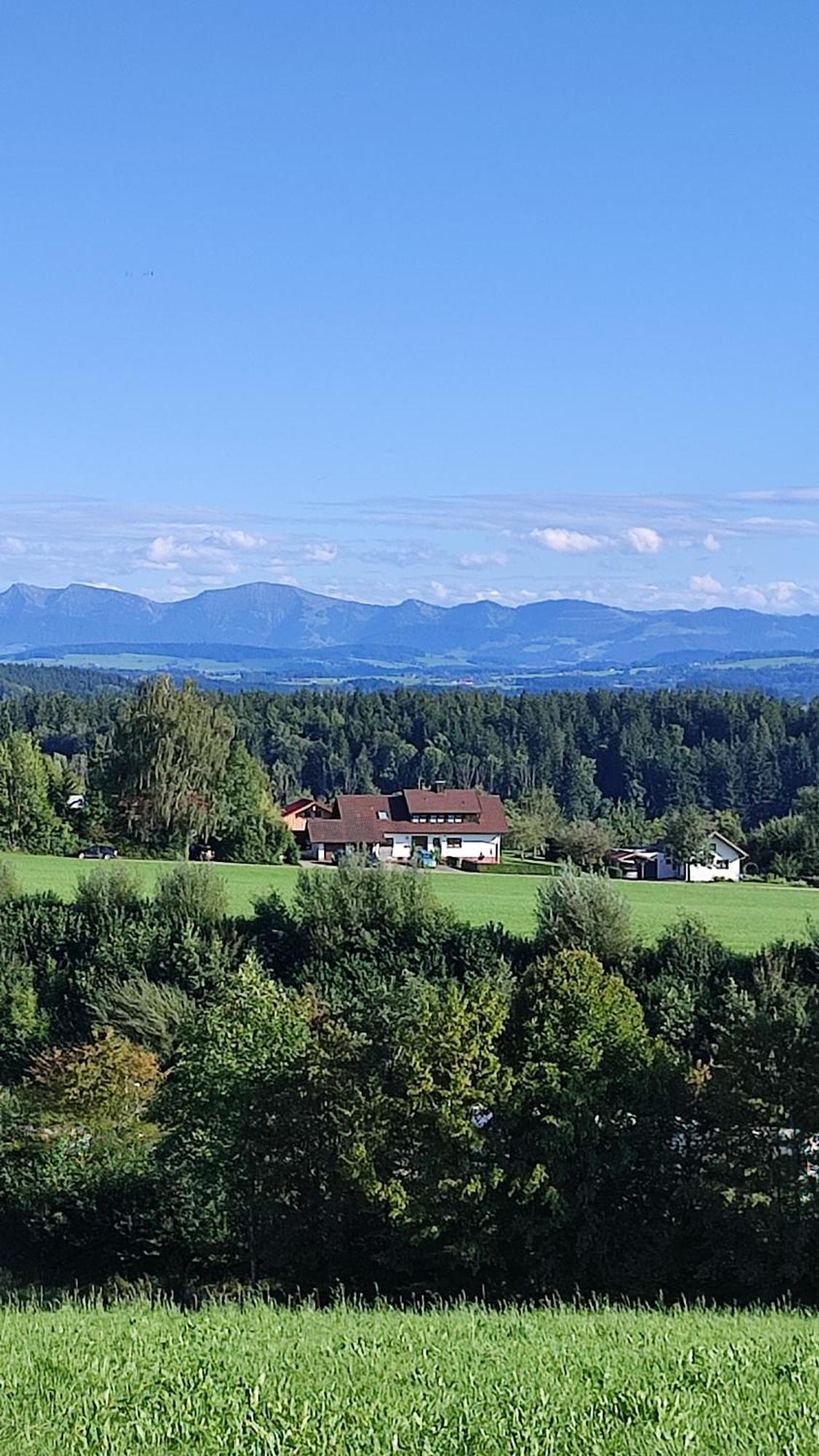 Ferienwohnung Trifts | Einzelbetten | Parkplatz Wangen im Allgäu Eksteriør billede